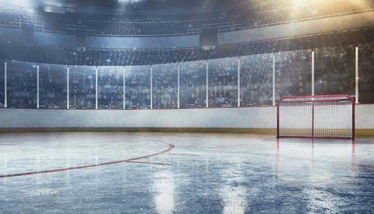 NHL 2022 fantasy playoff pool rankings: Customizable goal and