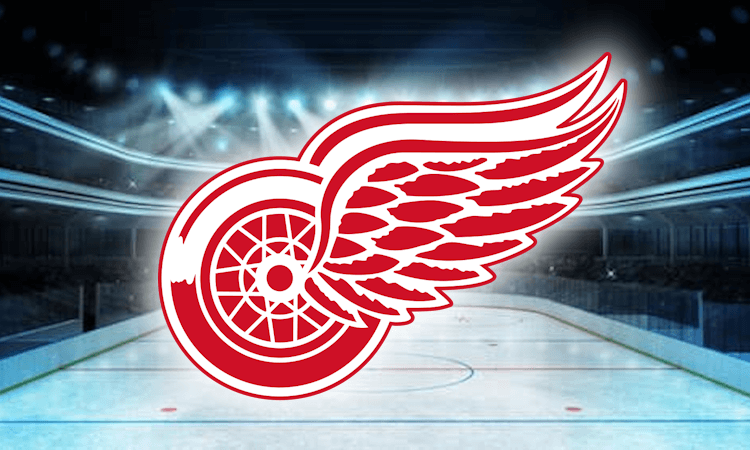 Detroit Red Wings 2023-24 roster and lineup predictions