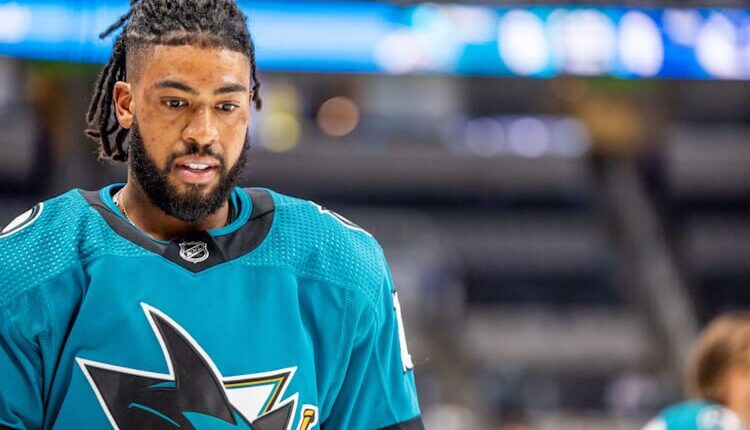 Anthony Duclair Fantasy Hockey Late-Round Bargains